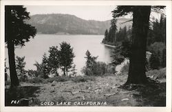 Scenic View, Gold Lake Graeagle, CA Postcard Postcard Postcard