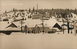 Snow Covered Town Postcard