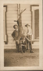 Three Hunters With Deer, 1919 Hunting Postcard Postcard Postcard