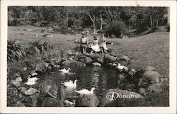 Three Women Seated by Pond Panama Postcard Postcard Postcard