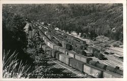 Train Yards Postcard