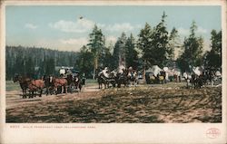 Wylie Permanent Camp, Yellowstone Park Yellowstone National Park Postcard Postcard Postcard