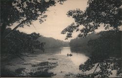 Bronx River, Bronx Park Postcard