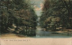 Bronx River, Bronx Park Postcard