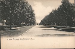 Prospect St. Postcard