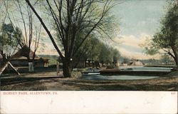 Dorney Park Allentown, PA Postcard Postcard Postcard