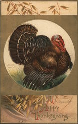 Happy Thanksgiving Postcard