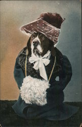 Dog Dressed in Clothes Postcard