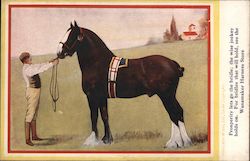 Man Posing Horse Postcard