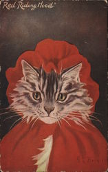 Red Riding Hood Cats Postcard Postcard Postcard