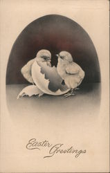 Two Chicks With Broken Eggshell Postcard