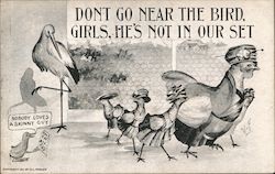 Don't Go Near The Bird Girls, He's Not in our Set Birds Postcard Postcard Postcard