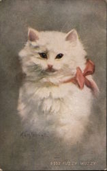 Fuzzy Muzzy Cats Zula Kenyon Postcard Postcard Postcard