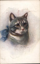 Sir Vigilance - Grey Cat with Blue Bow Postcard