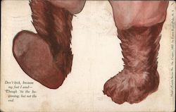 Bear Feet Card #1 of 4 Postcard