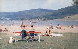 Bathing Beach, Alleghany State Park Postcard