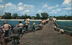 Fishing on the Municipal Pier Naples, FL Postcard Postcard Postcard