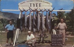 Tyee Charter Boat St. Thomas Virgin Islands Caribbean Islands Postcard Postcard Postcard