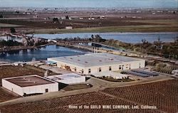 Home of the Guild Wine Company Postcard