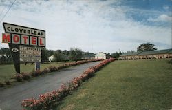 Cloverleaf Motel Postcard