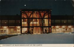 University of Maine - Moonlight on the Campus Postcard