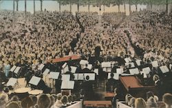 The Amphitheatre, View From The Stage Postcard