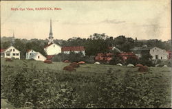 Bird's Eye View Postcard