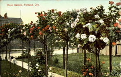 Rose Garden Postcard