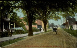 Cotton Ave Millen, GA Postcard Postcard