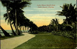 Lake Shore North From Palm Beach Postcard