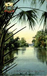 On The Beautiful St. John's River Scenic, FL Postcard Postcard