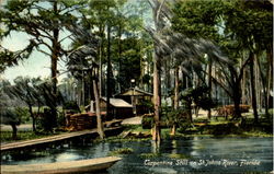 Turpentine Still On St. Johns River Scenic, FL Postcard Postcard