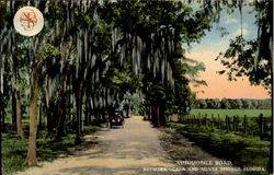 Automobile Road Between Ocala And Silver Springs Scenic, FL Postcard Postcard