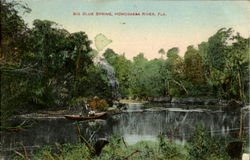 Big Blue Spring Homosassa River, FL Postcard Postcard