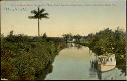 View On Miami River Florida Postcard Postcard