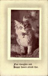 Wonderment Cats Postcard Postcard