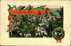 Christmas Greetings From Florida Postcard