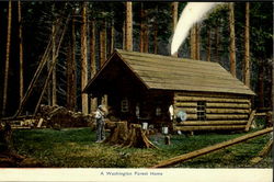 A Washington Forest Home Scenic, WA Postcard Postcard