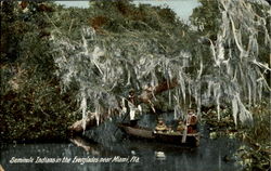 Seminole Indians In The Everglades Near Miami Postcard