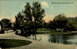 White's Park Postcard