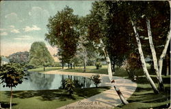 Scene in White's Park Lower Pond Postcard