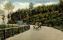 On The Mohawk Trail Massachusetts Postcard Postcard