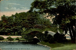 Bridge In White's Park Postcard