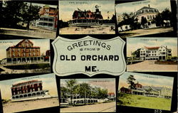 Greetings From Old Orchard Postcard