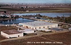 Home of the Guild Wine Company Lodi, CA Postcard Postcard Postcard