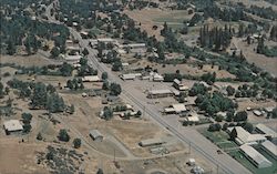 Hayfork, Trinity County, Calif. Postcard