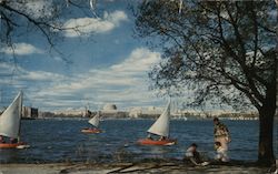 Massachussets Institute of Techology with Part of the Institute Dinghy Fleet on the Charles River Basin Postcard