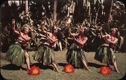 Hula Dancers in Ti-Leaf Skirts Hawaii Postcard Postcard Postcard