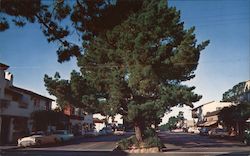 Picturesque Ocean Avenue Carmel, CA Postcard Postcard Postcard