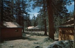 Tuolumne Meadows Lodge Postcard